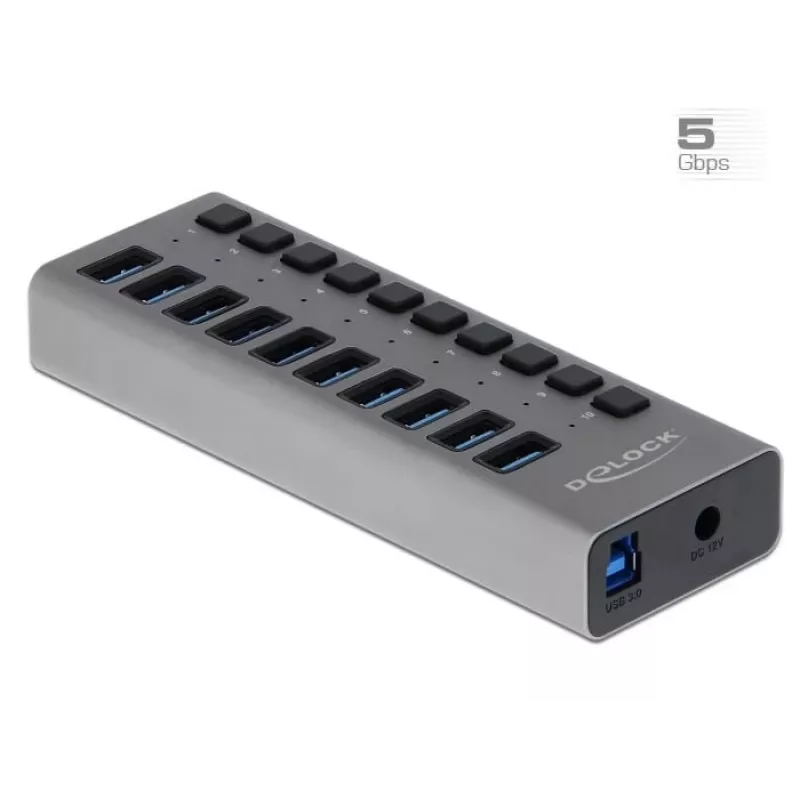 DeLOCK externe 5 Gbps USB-hub met 10 poorten + schakelaar