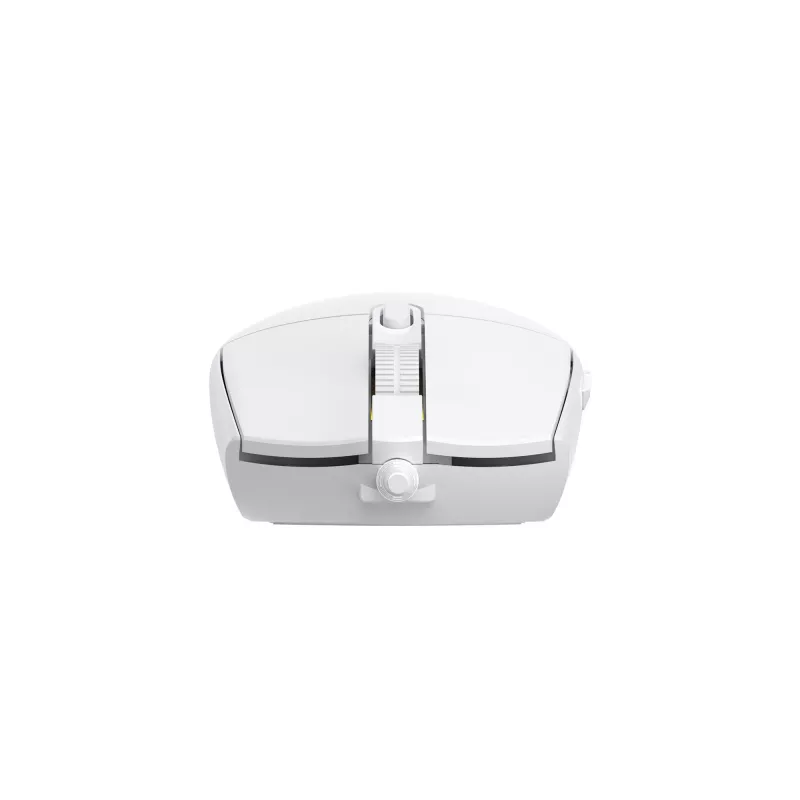 Muis Baracuda BGM-112 Crab White CRAB-W