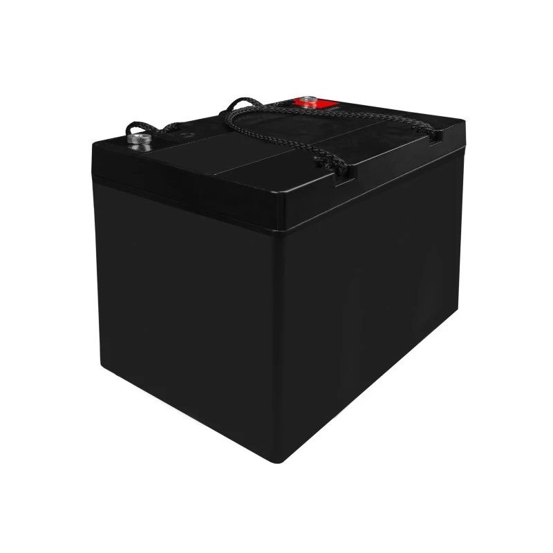 Batterij AGM VRLA 12V 55Ah IP54