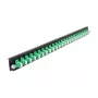 Lasdoos-frontplaat DeLOCK 19 inch 24 poort LC Duplex groen