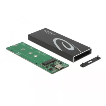 SSD-behuizing DeLOCK 42003 externe behuizing voor M.2 SATA SSD met USB Type-C