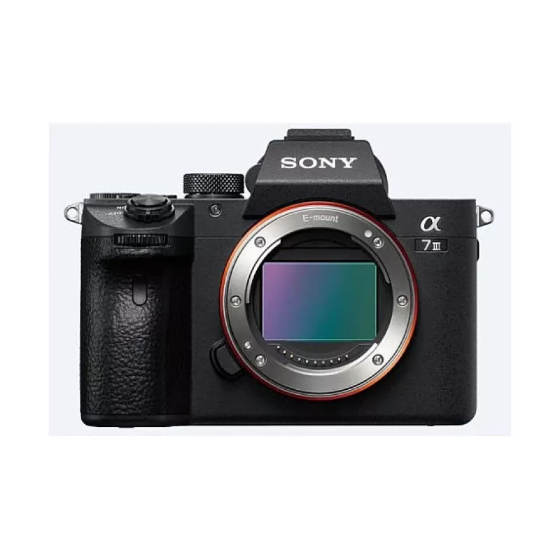 Sony α 7 III + 28–70 mm MILC 24,2 MP CMOS 6000 x 4000 Pixel Zwart
