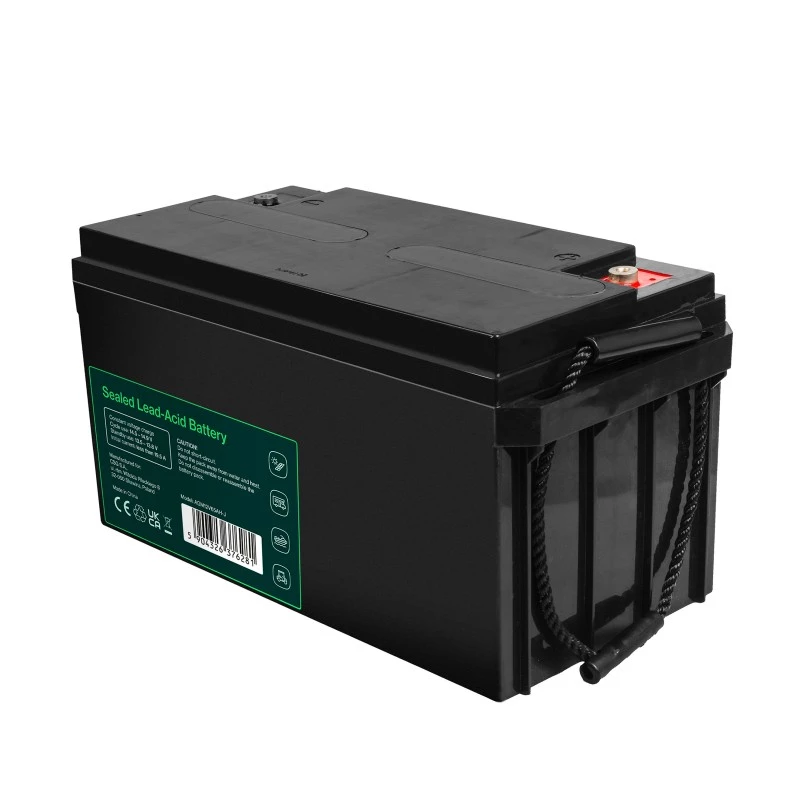 Batterij AGM VRLA 12V 65Ah IP54
