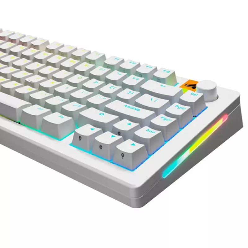 GLORIOUS GPBT Backlit Keycaps — PBT wit, ANSI-layout