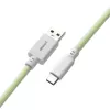 Cablemod CM-CKCA-CW-LGW150LGW-R USB-kabel 1,5 m USB A USB C groen (CM-CKCA-CW-LGW150LGW-R)