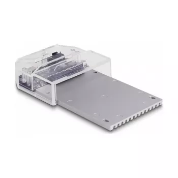 DeLOCK USB Type-C dockingstation voor 1 x U.2 SSD zwart