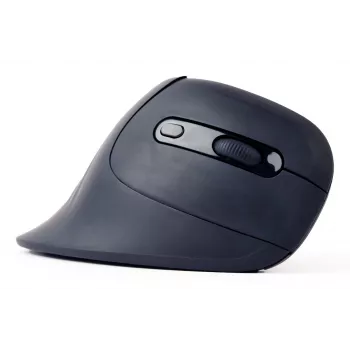 Gembird MUSW-ERGO-03 muis thuis rechtshandig RF draadloos optisch 1600 DPI