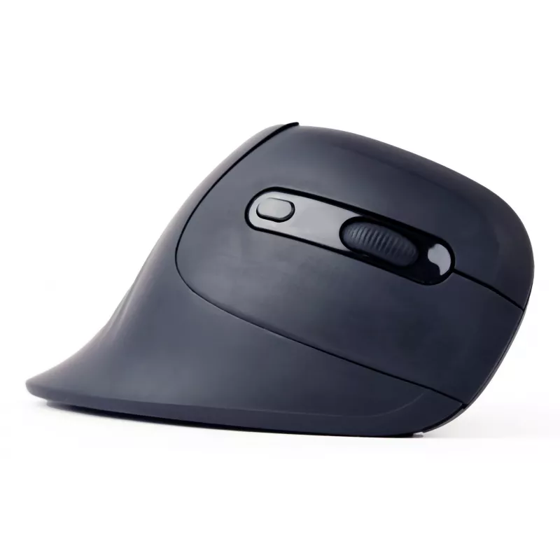 Gembird MUSW-ERGO-03 muis thuis rechtshandig RF draadloos optisch 1600 DPI
