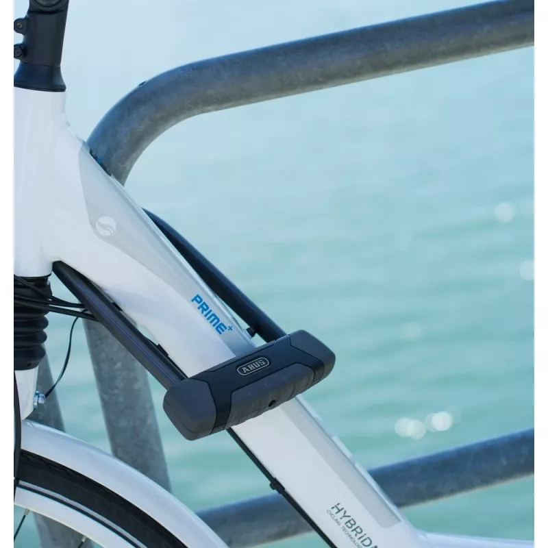 Abus Security-center 11185 zwart