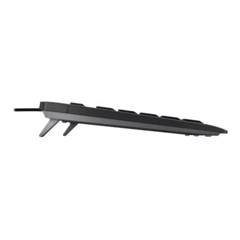 CHERRY STREAM TKL toetsenbord universeel USB QWERTZ Duits zwart