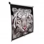 Elite Screens | M139NWX | diagonaal 353 inch | 16:10 | zichtbare schermbreedte (B) 2,98 cm | wit