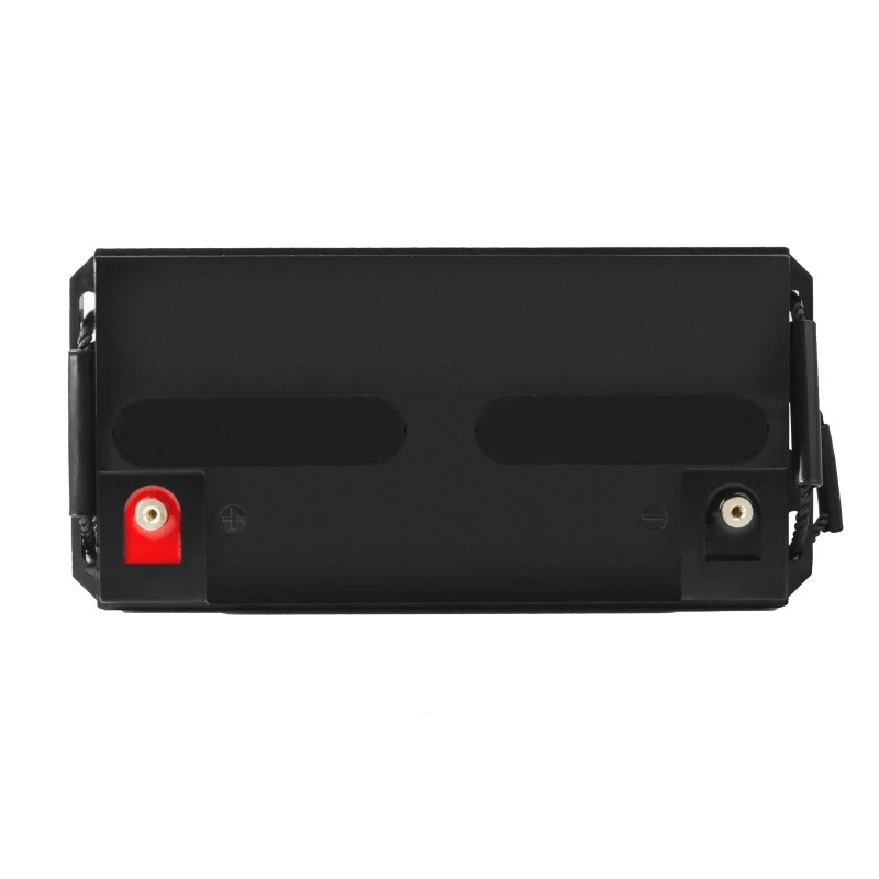 Batterij AGM VRLA 12V 65Ah IP54
