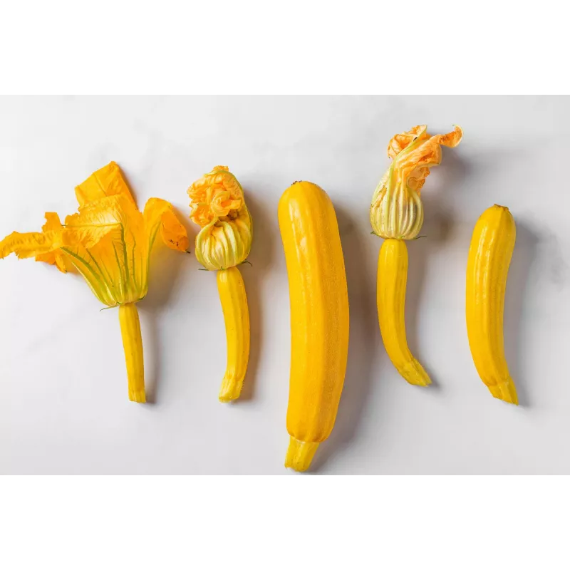 Gouden courgette Toraf groentezaden, 5g pakket