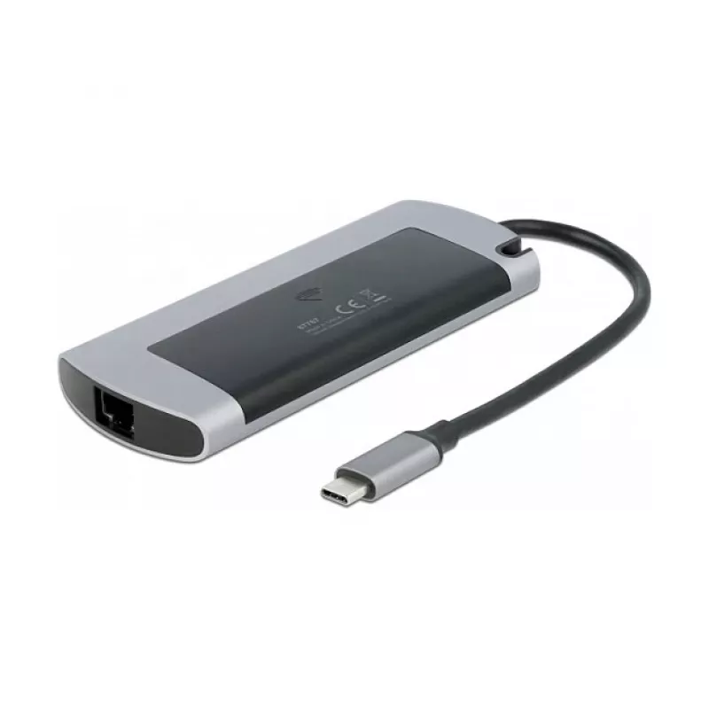 Dockingstation DeLOCK USB Type-C dockingstation met M.2-slot