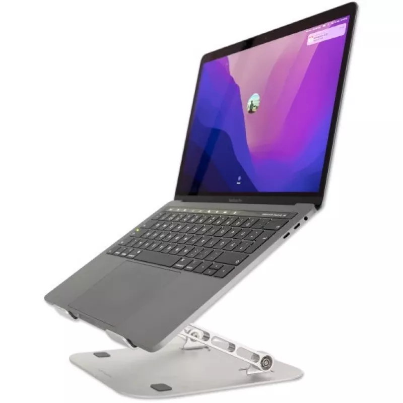 4smarts ErgoFix H22 - notebookstandaard - zilver (496280)