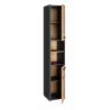 Topeshop S30 ANTRACYT/ARTISAN badkamerkast