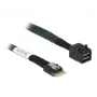 DeLOCK SAS-kabel 85081 0,5 m slank SAS SFF-8654 Mini SAS HD SFF-8643