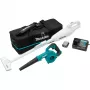 Accucombikit CLX245SAX1, 12 volt, bladblazer blauw/zwart, lithium-ionaccu 2,0 Ah, accustofzuiger en accubladblazer