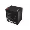Green Cell AGM45 UPS-batterij, verzegelde lood-zuur (VRLA), 12 V, 5,3 Ah