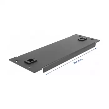 Blindplaat DeLOCK 10 inch netwerkkast 66578