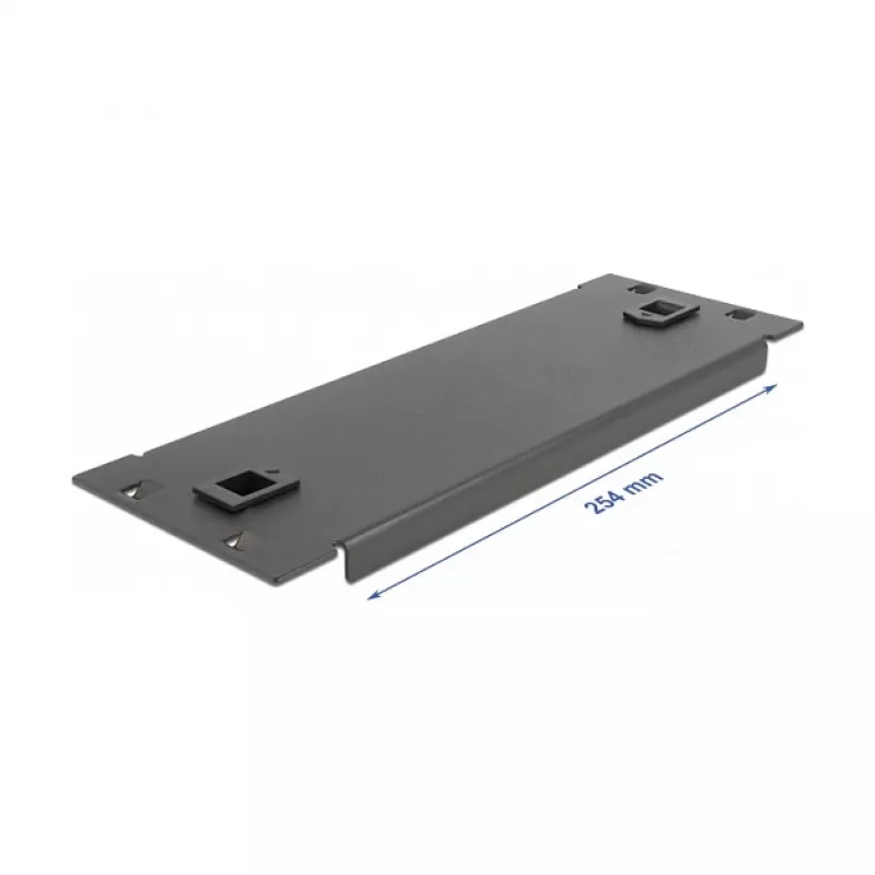 Blindplaat DeLOCK 10 inch netwerkkast 66578