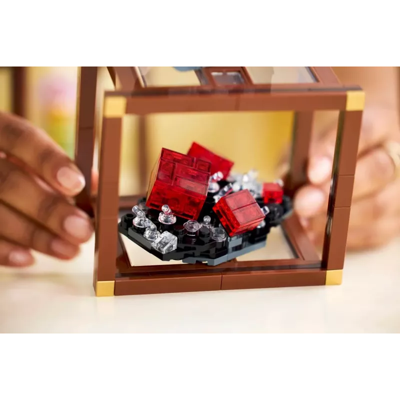 Bouwset LEGO Ideas model 21362, 880 onderdelen, aanbevolen leeftijd 18+