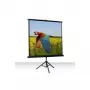 Celexon Economy 1:1 statief-projectiescherm 184 x 184 (1090016)