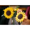 LEGO BOTANICALS 11502 Zonnebloemenboeket