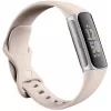 Fitbit GA05185-EU Product zilver