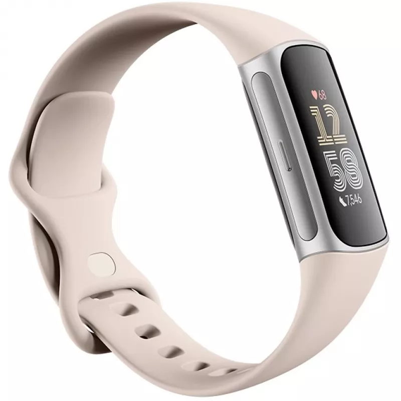 Fitbit GA05185-EU Product zilver