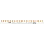 ABB PSc 3/24/10 N fasebus 3Ph.+N 24Pins 10 mm² (2CDL230331R1012)