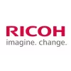 Ricoh D1369640 (D136-9640) Zwart Ontwikkelaar (SPEC)