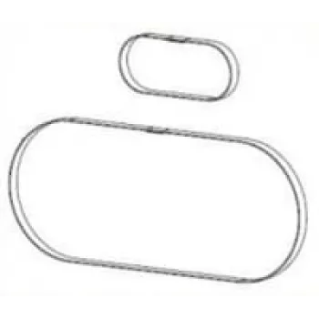 Zebra P1046696-146 printer-/scanner-vervangingsonderdeel/accessoire riem 2 stuks