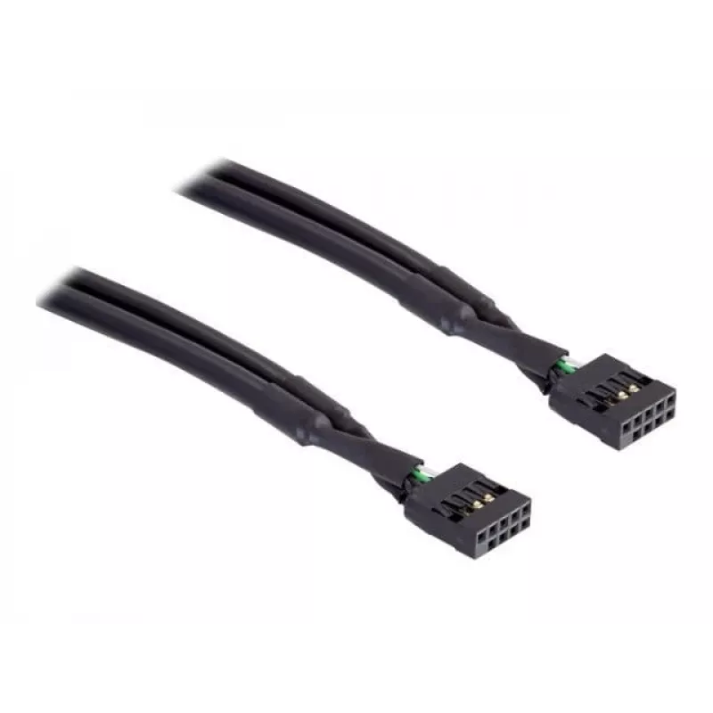 Interne USB-kabel DeLOCK 82437 0,5 m 10-pin female