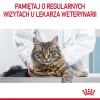 Royal Canin Urinary Care droogvoer voor katten 4 kg