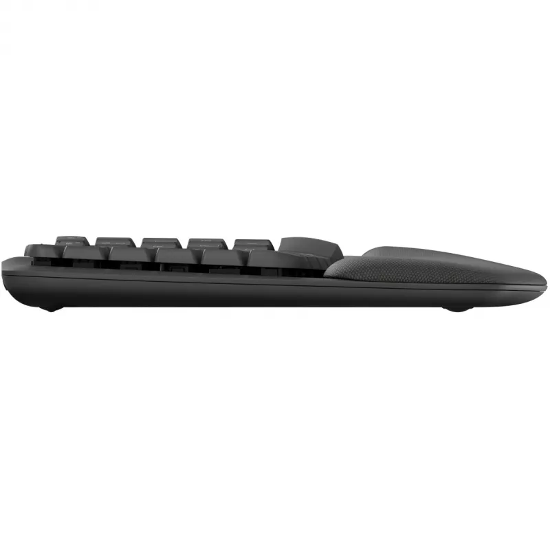 Logitech Wave Keys toetsenbord office RF Wireless + Bluetooth QWERTZ grafiet