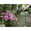 Waterslang Karcher Premium 5/8- 25M