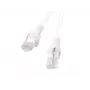 Lanberg PCU5-20CC-0300-W Cat5e U/UTP-patchkabel, 3 m, wit, 10 stuks