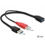 DeLOCK 83176 USB-kabel USB 3.2 Gen 1 0,3 m USB A naar 2 x USB A