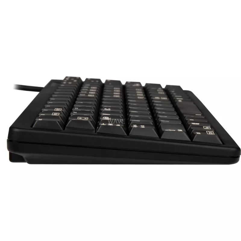 CHERRY G84-4100 toetsenbord universeel USB QWERTZ Duits zwart