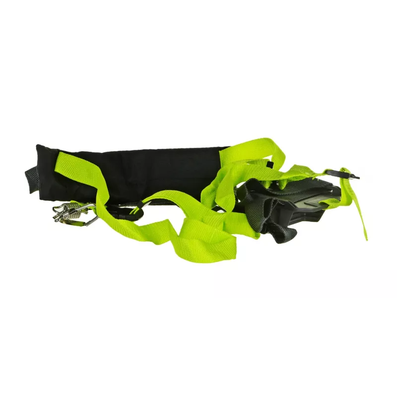 Elektrische hoogtakkensnoeier 750W 25cm/olieaccessoires RYOBI