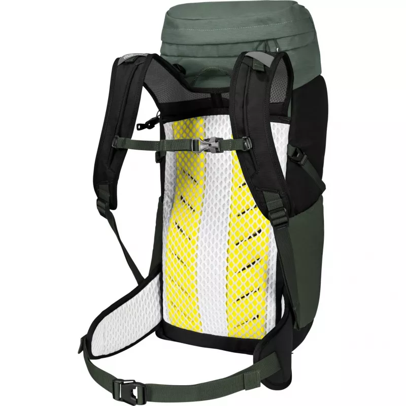 Jack Wolfskin Kids Peak Hiker rugzak – donkergroen, 28 L