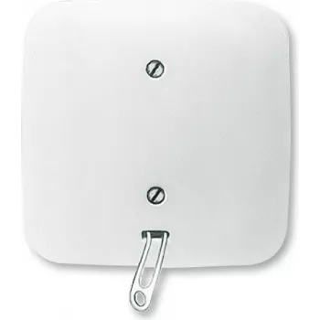 Busch Jaeger 2CKA001315A0027 elektrische schakelaar trekschakelaar wit (2CKA001315A0027)