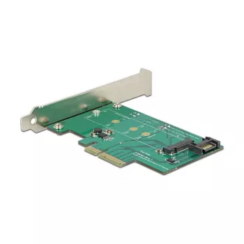 Interfacekaart DeLOCK 89381 intern M.2 SATA