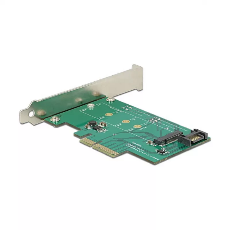 Interfacekaart DeLOCK 89381 intern M.2 SATA