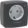 eQ-3 AG Homematic IP 161613A0, binnen, antraciet, kunststof, IP20, IP20, 70 mm