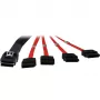 Inter-Tech - SATA-/SAS-kabel - Serial ATA 150/300/600 - 4-Lane - 36 PIN 4iMini MultiLane naar SATA - 1,0 m - rood (88885301)
