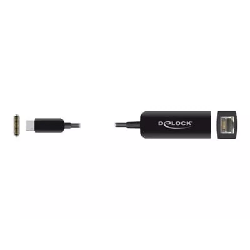 Adapter USB Type-C stekker naar 2,5 Gigabit LAN compact DeLOCK 66645