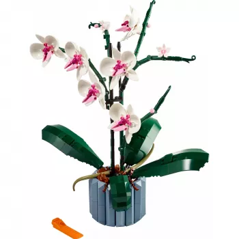 LEGO 10311 Icons Orchidee kunstplant bouwset met bloemen woonaccessoire voor volwassenen Botanische collectie cadeau voor echtgenote of echtgenoot