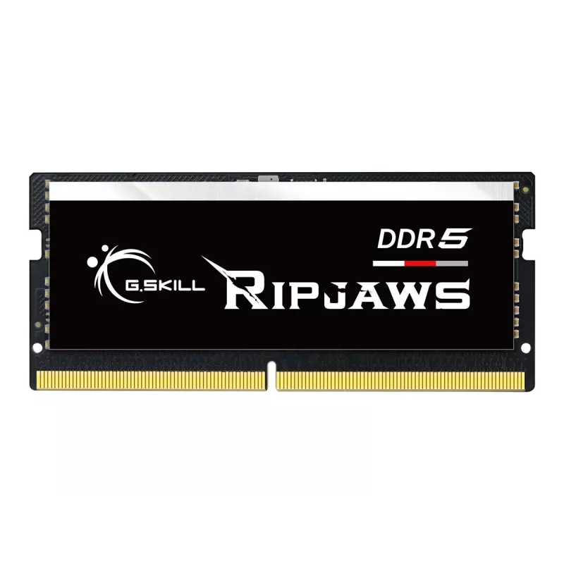 G.Skill Ripjaws F5-4800S4039A16GX1-RS geheugenmodule 16 GB 1 x 16 GB DDR5 4800 MHz